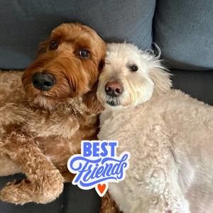 Meet your Posher, Kim